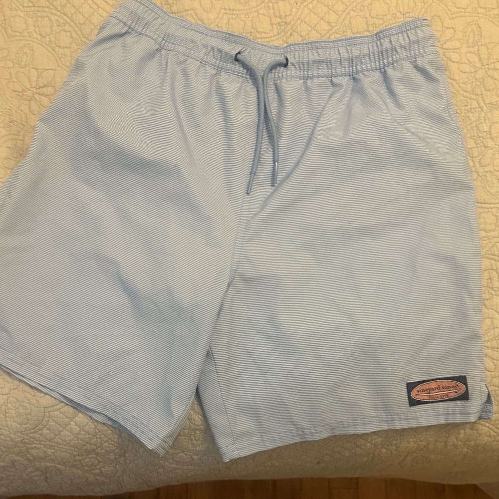 Vineyard Vines Kids Light Blue Swim Trunks